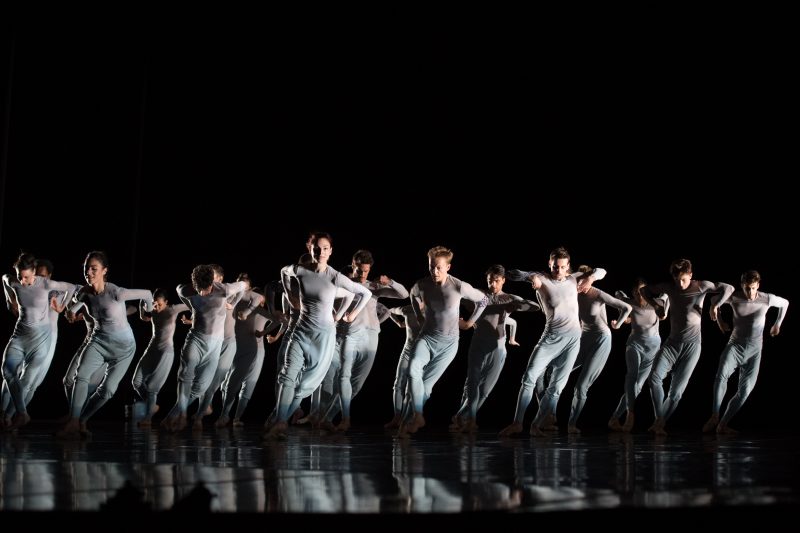 Swan Song ©BBL_LaureN Pasche