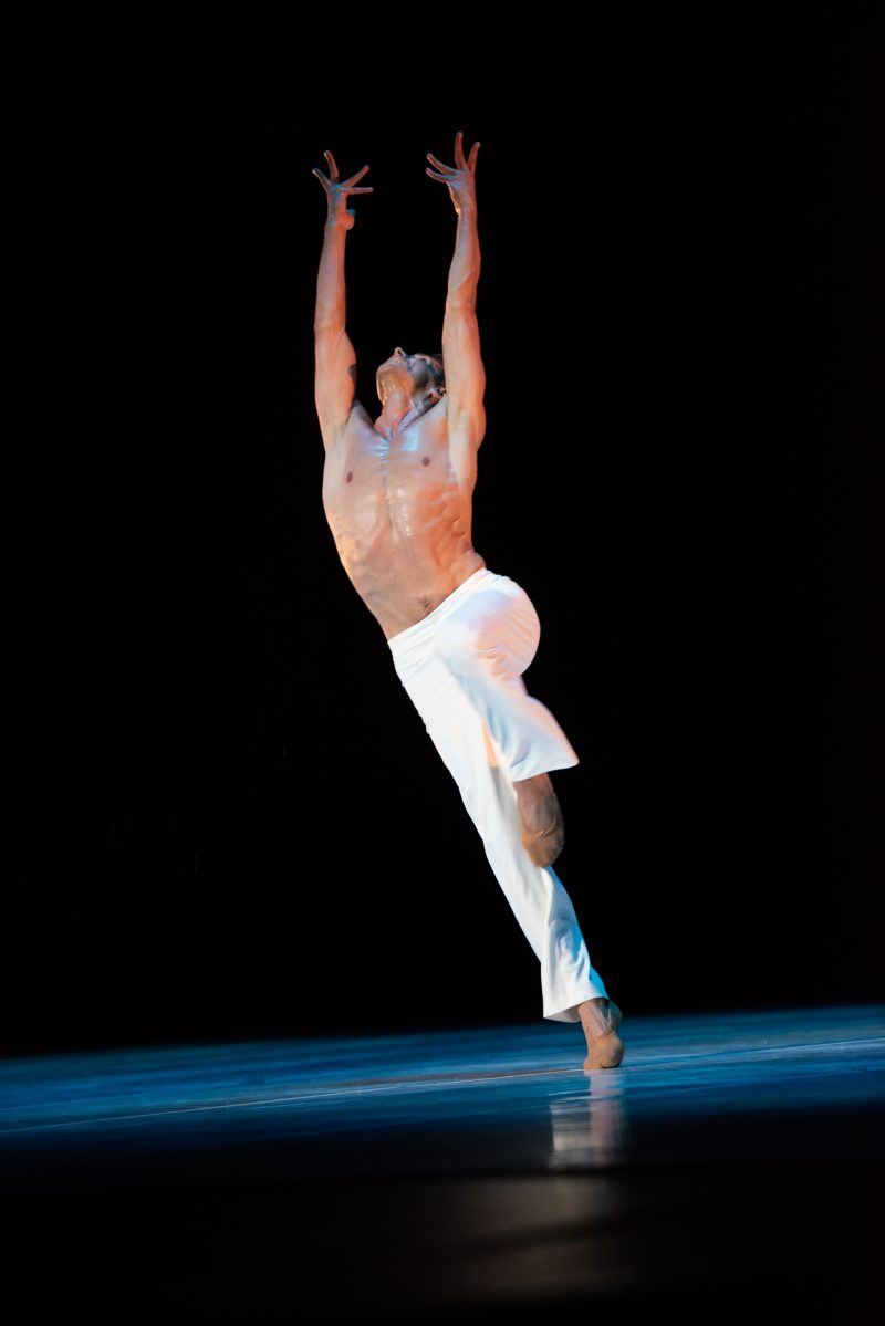 Un cygne d'autrefois se souvient que c'est lui ©BBL - LaureN Pasche